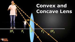 Convex and Concave Lenses [upl. by Nehttam]