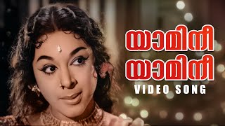 Yaamini Yaamini Video Song  Othenante Makan  P Susheela  G Devarajan [upl. by Otrebron229]