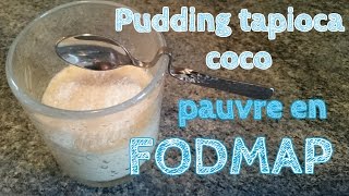 Recette du pouding  pudding au tapioca et à la noix de coco pauvre en FODMAP [upl. by Abih]