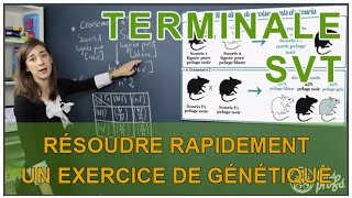 Résoudre rapidement un exercice de génétique  SVT Terminale S  Les Bons Profs [upl. by Aryamo]