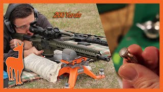 350 Legend Hornady American Whitetail vs Ballistic Gel at 100 and 200 Yards  The Social Regressive [upl. by Jaynell]