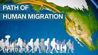 Map Shows How Humans Migrated Across The Globe [upl. by Eedyak]