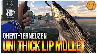 Unique Thicklip Grey Mullet of GhentTerneuzen Canal  Fishing Planet Test Your Spot Series [upl. by Miquela]