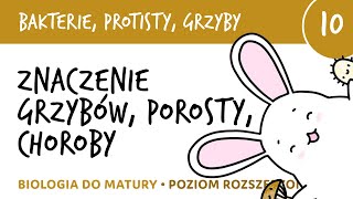 Znaczenie grzybów porosty grzybice i inne przykrości  Bakterie grzyby protisty 10  biologia [upl. by Nabla309]