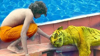 Life of Pi2012Full movie Explained in HindiUrdu Dubbedreal survivor movieAdventuretrailer [upl. by Nirat]