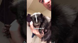 Accidental conpanion pets heartwarmingpets animallover animals [upl. by Zins]