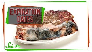 What Do Food Expiration Dates Actually Mean [upl. by Gurango]