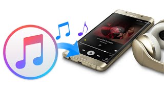 How to Sync Music from iTunes to Android Phone Transfer iTunes Playlist to Android Device [upl. by Katya610]