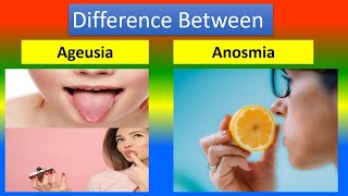 Difference Between Ageusia and Anosmia [upl. by Weyermann]