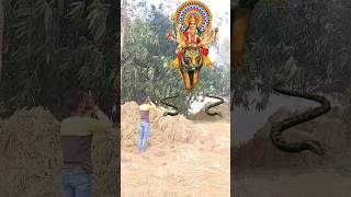 🙏जय माँ शेरावाली🙏bhakti viralvideo trendingshorts shorts ytshorts newvideo vikeshkumar [upl. by Bow]