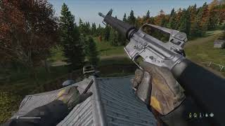 DayZ Super Bear n Wolf Army [upl. by Sprage945]