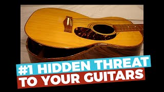 1 HIDDEN THREAT to your guitars  D’Addario Humidipak  Does it work [upl. by Atsirt]