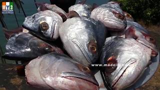 Never Seen Before  Making 16 Big Fish Heads Barbecue  FISH HEAD GRILLED BBQ [upl. by Aromas]