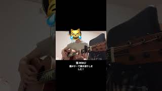 猫 DISH 弾き語り🐈 ギター弾き語り dish 猫 [upl. by Namlas175]