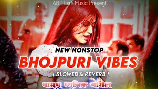 Peni me chheni satai diyo re  bhojpuri song awdheshpremi slowed amp reverb bhojpuri Lofi No 1 song [upl. by Graniah]