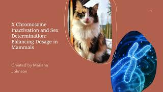 X Chromosome Inactivation and Sex Determination Balancing Dosage in Mammals [upl. by Atiuqam854]