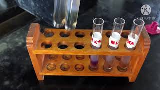 Biochemistry Lab General Tests for Carbohydrates [upl. by Lissy]