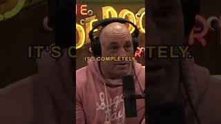 Joe Rogan Praises MrBeasts Unique YouTube Style [upl. by Tomas]