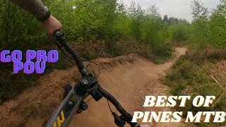 THE BEST SHERWOOD PINES MTB POV VIDEO YOU WILL SEE  GOPRO RED ROUTE [upl. by Werdnael670]