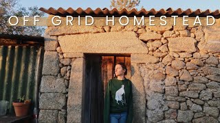 Kitchen Upgrades amp Broken Ribs 🤕 on our Off Grid Homestead [upl. by Llenaj498]