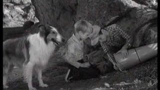 Lassie  Episode 200  quotSpace Travelerquot  Season 6 Ep 18  01101960 [upl. by Borchers400]