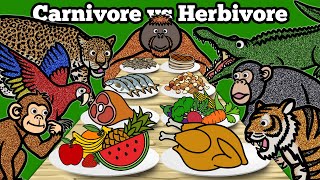 Carnivore vs Herbivore Animals  Learn What Animals Eat In The Rainforest  Jungle Animals [upl. by Liatnahs581]