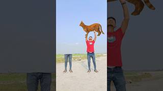 Matching twin brotherr flying body parts vs Eating candy egg amp Catching brown catt funny video😂😀 [upl. by Celestine919]