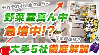 2024年版｜野菜室真ん中冷蔵庫メーカー別比較【おすすめは？】 [upl. by Engen]