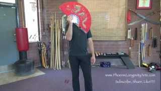 Tai Chi Fan [upl. by Anirpas]