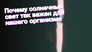 Почему солнечный свет так важен для нашего организма [upl. by Htnnek581]