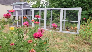 Building a Backyard Chicken Coop [upl. by Nnair]