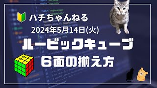 ルービックキューブ６面の揃え方（昔覚えたやり方なので、時間を競う方向けではないです🙇） [upl. by Nilrak]