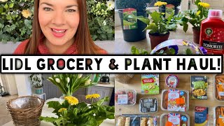 Lidl Haul  Lidl Grocery Haul  Lidl UK  Lidl Plants  Lidl  Kate McCabe  April 2021 [upl. by Knowle411]