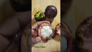 Mangosteen fruit shorts trending [upl. by Airan536]