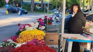 Terni Visitatori al cimitero ma non tantissimi [upl. by Mimajneb]