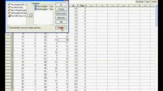 SPSS  Deskriptive Statistik [upl. by Yttak]