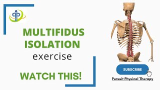 Multifidus isolation exercise  Pursuit Physical Therapy [upl. by Belter939]