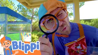 Hat And Glasses Song 👓 Blippi  Kids TV Shows Full Episodes [upl. by Nollid]