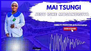 MAI TSUNGI  JESU ISHE MUSANDISIYE [upl. by Llemej]