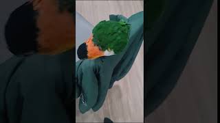 Sassy Parrot Roasts Every Visitor [upl. by Delores]