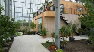 Greenhouse in Sweden with its own Ecosystem designed by TailorMade Arkitekter [upl. by Sulrac]