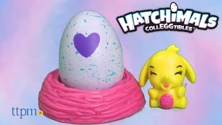 Hatchimals Colleggtibles 2Pack  Nest from Spin Master [upl. by Sinai]