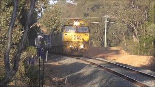 7901V at Maryborough Sat 12 October 2024 [upl. by Hidie136]