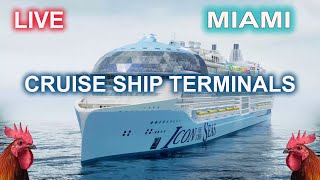 🔴 LIVE Port Miami Cruise Ship Terminals [upl. by Orian]