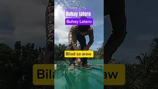 BUHAY LATERO arielclemeniavlog construction shortsvideo [upl. by Aicena667]