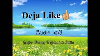 Grupo Uncion Tropical de Salta Completo [upl. by Nelluc]