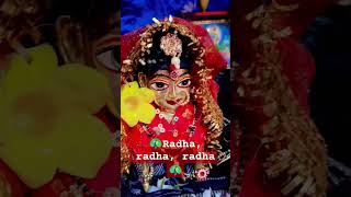 jis samaya radha radha boltahe🦚🙏🦚 premanand motivation shrihitpremanandmaharajji radheshayam [upl. by Freed]