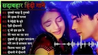 90S Evergreen Hindi Songs🌸🌸90s Love Song🌲🌲Udit Narayan Alka Yagnik Songs 2024 [upl. by Akissej]