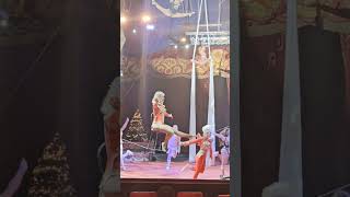 Medrano circus viralvideo travel shortvideo trending ranitaf3 italy shorts medrano viral [upl. by Jonna]