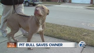 Owner says dog saved his life [upl. by Anida]